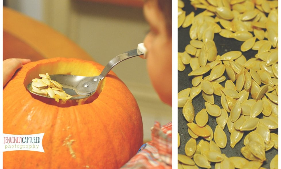 Picking Out Pumpkins | Blog - Jennifer Duke Photography